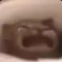 WAA