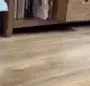 BirbIntoDMs