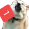pingdog