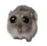 ohPwease