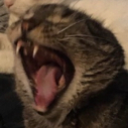 SG_Risa Discord emoji