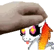 Lilou_pet Lilou_pet