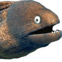 fish_what Discord emoji