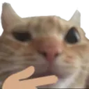 000_mew_think