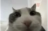YUH