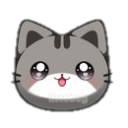 :kitten_8: