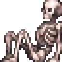 skeletonPet