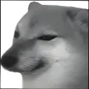 NIGGASDOG