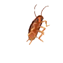 BugParty BugParty