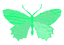butterfly_green