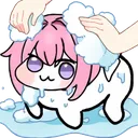 dorowash dorowash