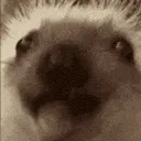 MhmMhmWerd