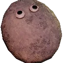 Pet_Rock Pet_Rock