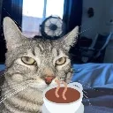 ponder_with_coffee