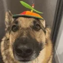 pirocopilo pirocopilo