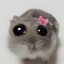 sadhamster