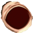 omegalmao