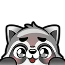 Raccoon_lurk