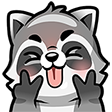 Raccoon with a happy expression sticking its tongue out while holding its hands up near its face.