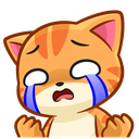 :Cat_cry: