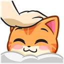 :Cat_pat: