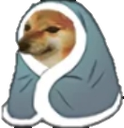 pritish_motu Discord emoji