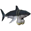 sharkboob