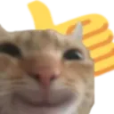 thumbsupcat