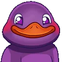 DuckPOP