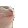 CatJam