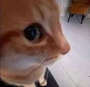 side_eye