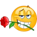wellhellowladies