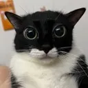 eyes