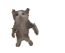 HAPPYCATDANCEezgif