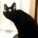WHAT