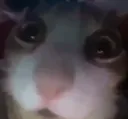 absolutelyterrified