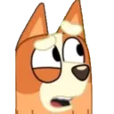 BingoPerplexed