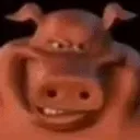 piggyglizzy
