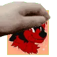 Pluto_Pet Pluto_Pet