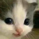 hehe