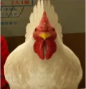 yakuzachicken
