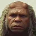 shennog