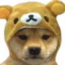 RG_DogWithCap