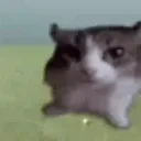 AHHHHHHHHHH AHHHHHHHHHH