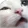 ngmi