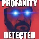 profanity profanity