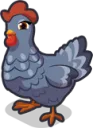 Chicken3Alice
