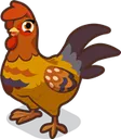 Chicken4Lola