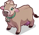 Cow2Bella Cow2Bella