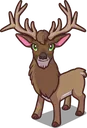 Deer4Oscar